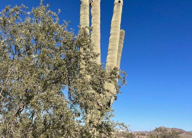 Property at 26113 N 113th Ave Unit -, Peoria, AZ 85383