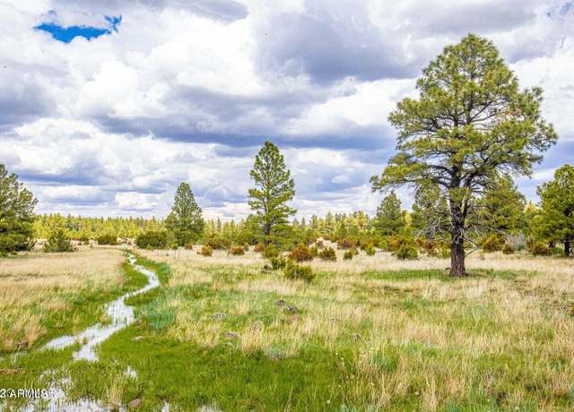 Property at 000 Dipping Vat Spring Fire Rd Unit -, Vernon, AZ 85940
