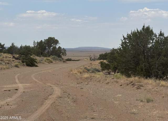 Property at Lot 99 Carrizo Ranch -- #99, St Johns, AZ 85936