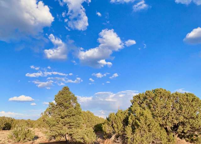 Property at 47 County Rd 8306 -- #165, Concho, AZ 85924