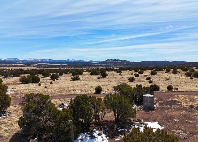 Property at 41 Antelope Ave #464, Concho, AZ 85924