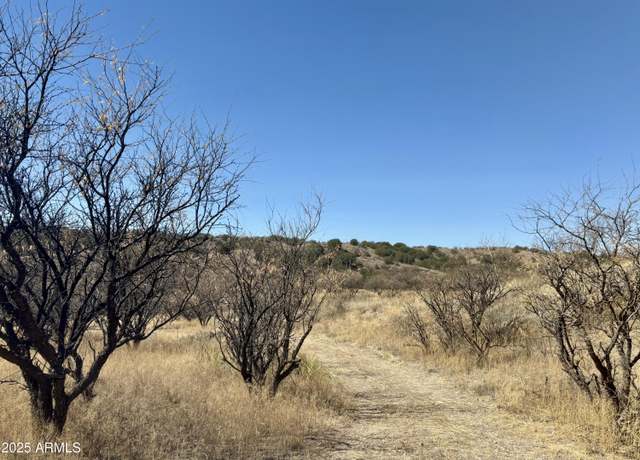 Property at 1 A Stevens -- Unit 1-A, Patagonia, AZ 85624