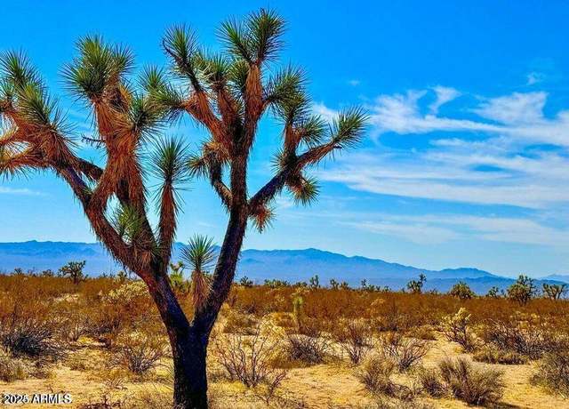 Property at TBD Apex 1.07 Acres Rd Unit -, Yucca, AZ 86438