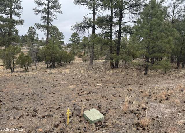 Property at 40 Timber Ridge Loop #40, Show Low, AZ 85901