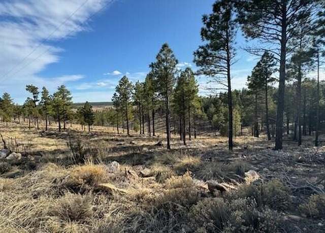 Property at 806 Eagle View Dr #29, Happy Jack, AZ 86024