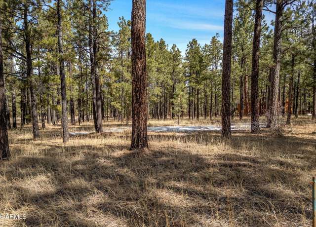 Property at 3 County Road N1062 -- #4, Greer, AZ 85927