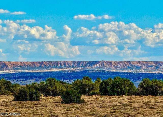 Property at TBD Sanders 127.5 Acres Lot B -- Unit -, Sanders, AZ 86512