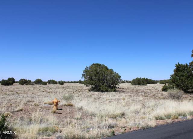Property at 7700 Del Rio Dr #47, Show Low, AZ 85901