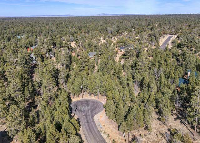 Property at 2267 Boulder Dr Unit -, Happy Jack, AZ 86024