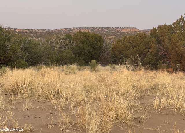 Property at Lot 1041 Woodland Valley Ranch -- #1041, St Johns, AZ 85936