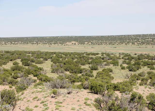 Property at 8 N County Road N6576 -- #853, St Johns, AZ 85936
