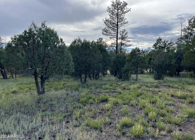Property at 5402 Red Squirrel Ln #27, Lakeside, AZ 85929