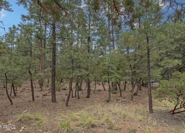 Property at 98 Trail End Dr #98, Pine, AZ 85544