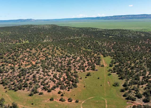 Property at 39.93 ACRE W Titan Ranch Rd #318, Seligman, AZ 86337