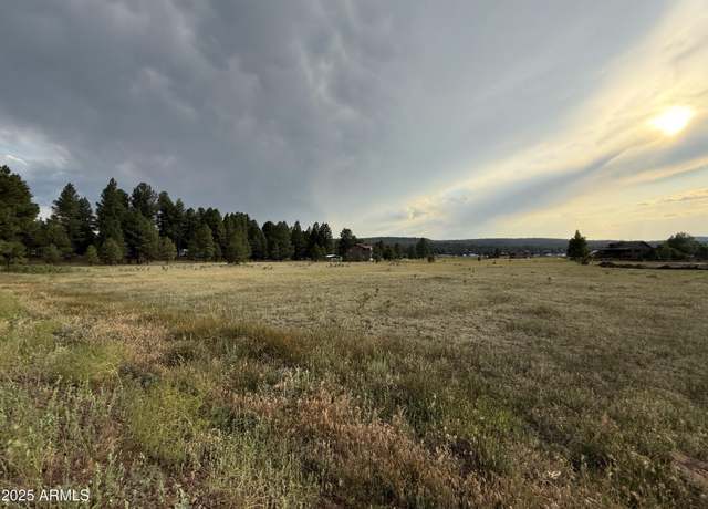 Property at 213 High Point Dr #8, Mormon Lake, AZ 86038
