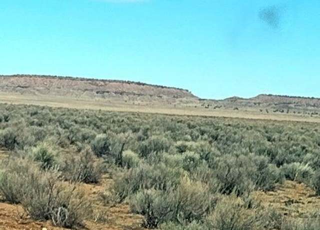 Property at 3 Lots in Carrizo Ranch -- Unit 342, 346 & 347, St Johns, AZ 85936