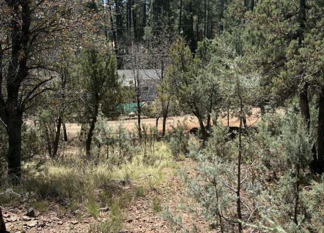 Property at 0 N Randall Dr #11, Pine, AZ 85544