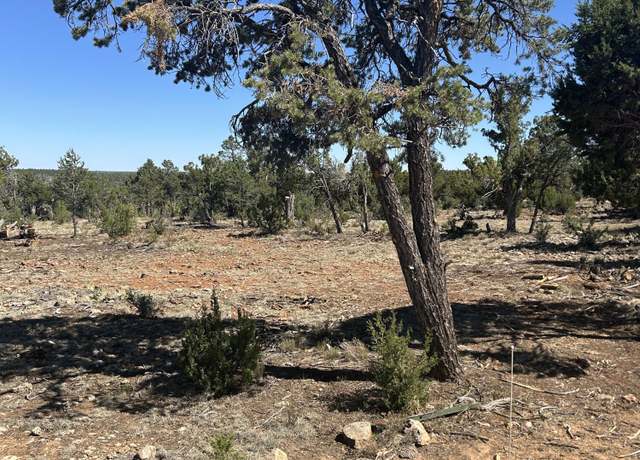 Property at 4131 Sunset Ridge Loop #176, Happy Jack, AZ 86024