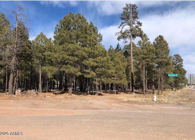 Property at 1960 Merryland Rd Unit 233 & 234, Forest Lakes, AZ 85931