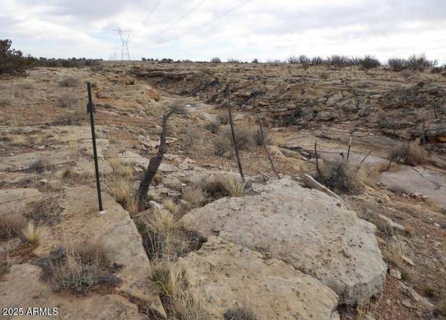 Property at Lot 301 Chevelon Canyon Ranch -- #301, Heber, AZ 85928