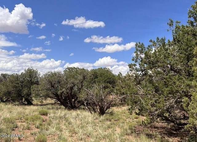 Property at 4062 Apache Rd Unit 593 and 594, Snowflake, AZ 85937