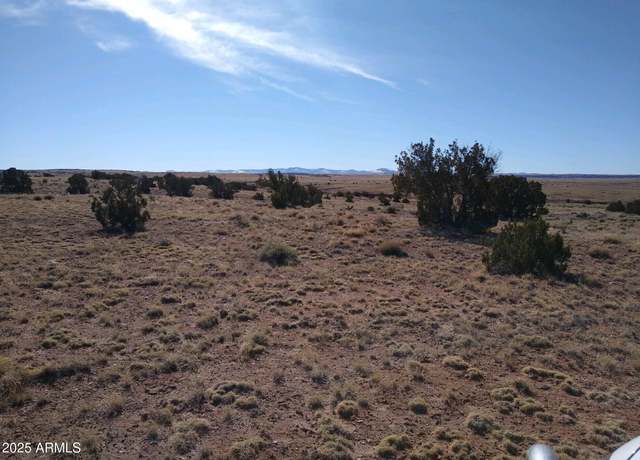 Property at 000 N6474 -- #216, St Johns, AZ 85936