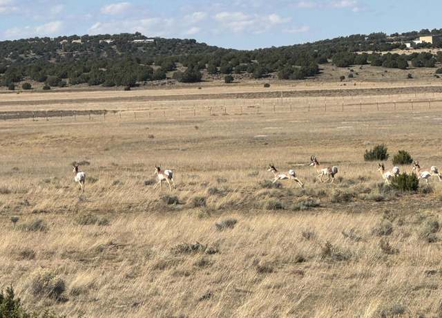 Property at TBD N 8640 Rd #248, Concho, AZ 85924