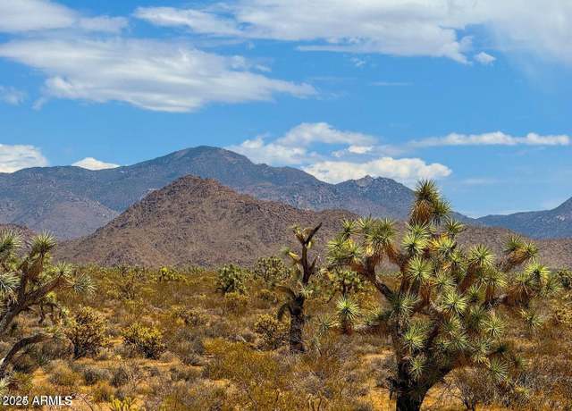 Property at TBD Jesse James Rd 80 Acres -- Unit -, Yucca, AZ 86438