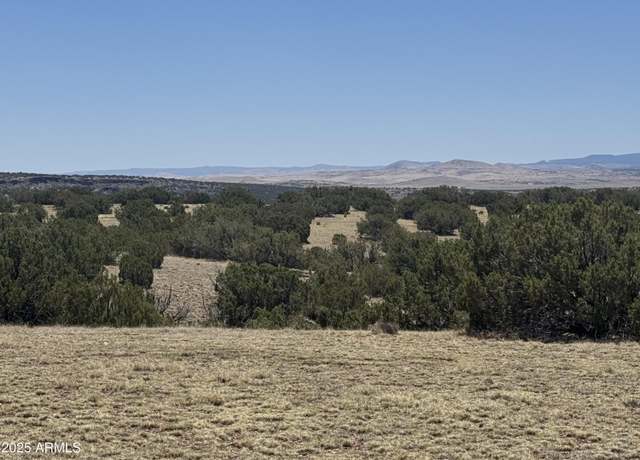 Property at Lot #9 Big Six Ranches -- #9, Concho, AZ 85924