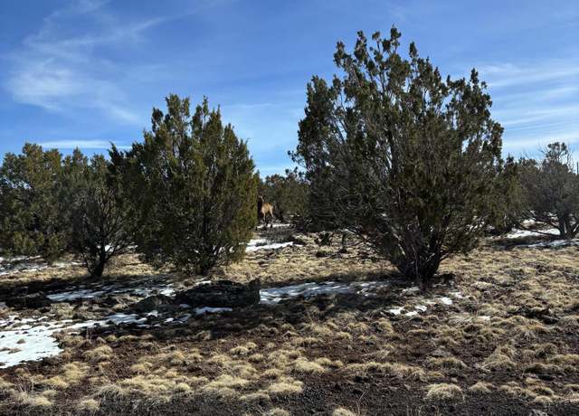 Property at 1632 Vernon Mcnary Rd #20, Vernon, AZ 85940