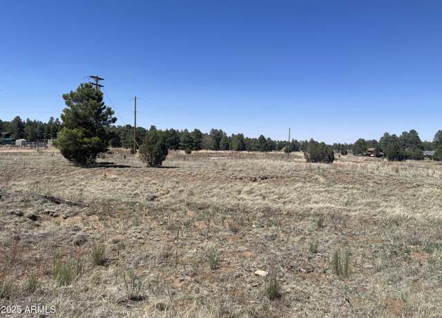 Property at 2278 Meadow Ln #179, Overgaard, AZ 85933