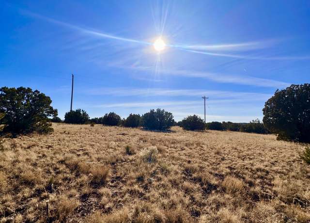 Property at TBD County Rd 5168 (sloan) -- #181, Concho, AZ 85924
