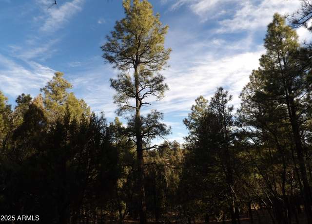 Property at 995 Eagle View Dr #17, Happy Jack, AZ 86024