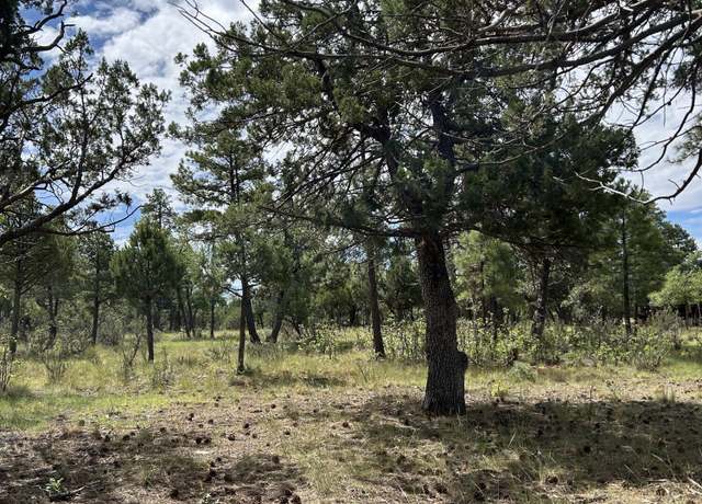 Property at 5852 Teton Way #270, Happy Jack, AZ 86024