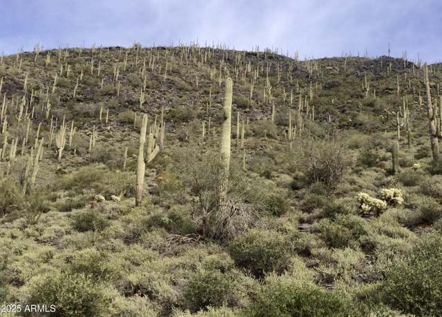 Property at 62XX E Carriage Dr Unit -, Cave Creek, AZ 85331