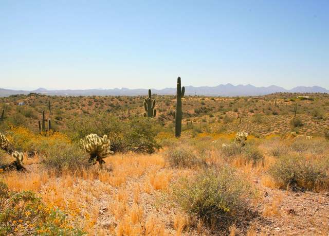 Property at 13xxx N Ambush Ln #11, Fort Mcdowell, AZ 85264