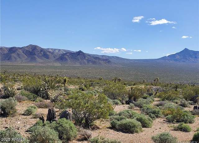 Property at Lot 3076 W Gold Basin Dr #3076, Meadview, AZ 86444