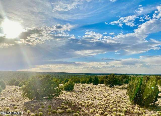 Property at TBD Silver Lake Blvd Lot 1 8.16 Ac -- Unit -, Show Low, AZ 85901