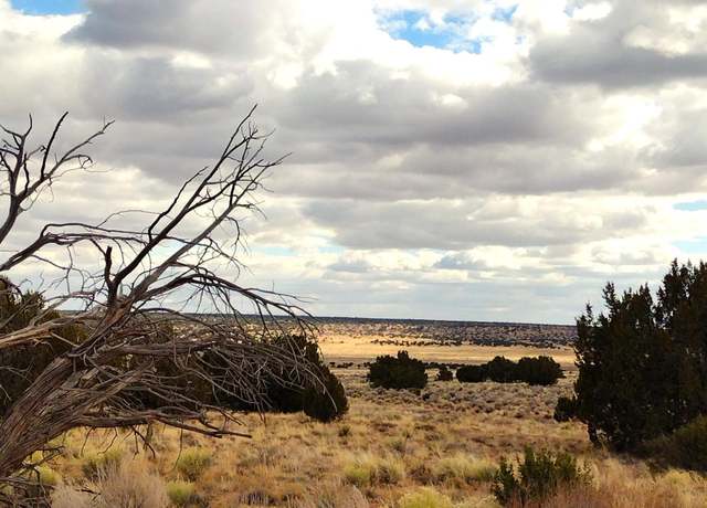 Property at Lot 271 Red Sky Ranch -- #271, St Johns, AZ 85936