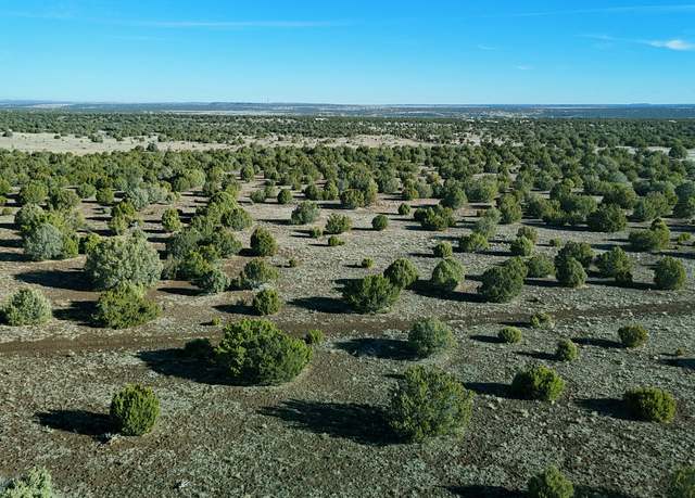Property at TBD Silver Lake Lot 2 8.16 Acres -- Unit -, Show Low, AZ 85901