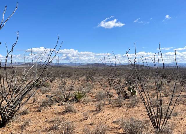 Property at TBD W 39.918 AC Lot 23 -- W #23, Douglas, AZ 85607