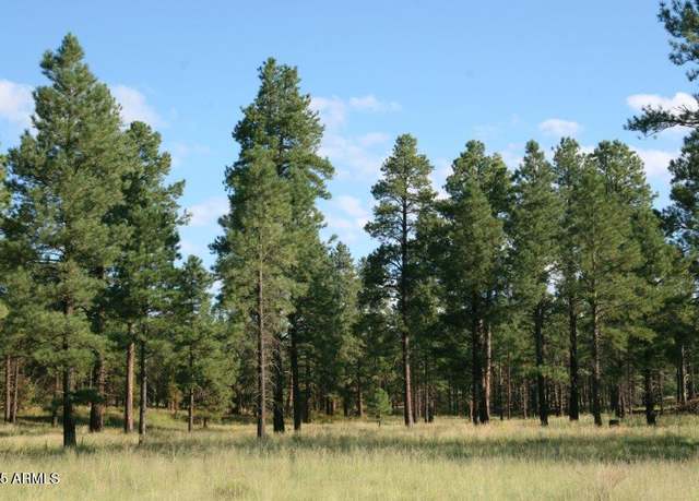 Property at 7337 Forest Service Rd 122 -- Unit Tract 1-B, Happy Jack, AZ 86024
