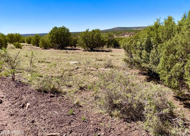 Property at TBD Co Rd 8269 Lot 151 -- Unit -, Concho, AZ 85924