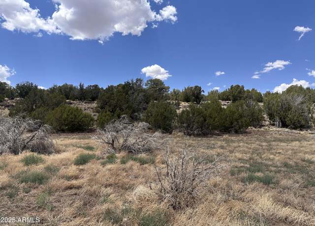 Property at 13 Acr 8122 -- #438, Concho, AZ 85924