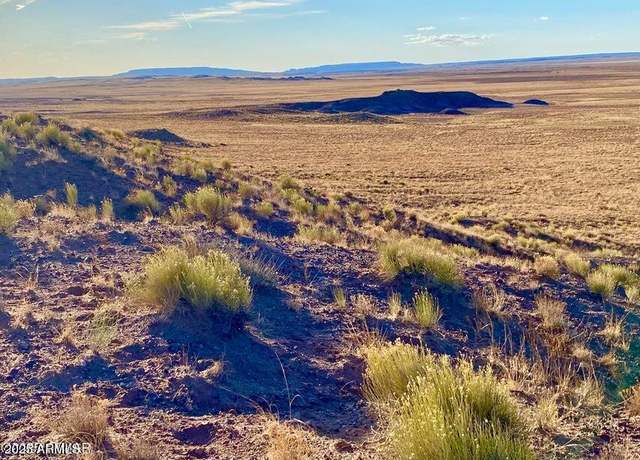Property at Carrizo Ranch Lot 297 41.17 Acres -- Unit -, Concho, AZ 85924