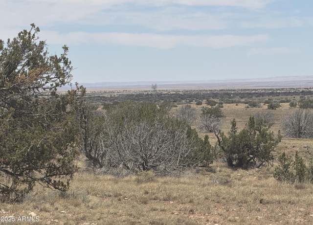 Property at Lot 205 Chevlon Canyon Ranch -- #205, Heber, AZ 85928