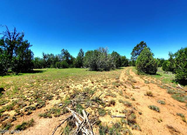 Property at 8571 Haven Crest Dr #229, Happy Jack, AZ 86024