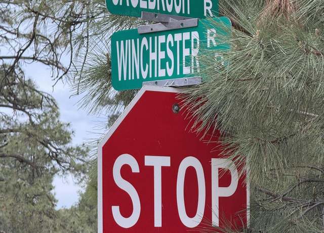 Property at 3512 Winchester Rd, Overgaard, AZ 85933, 2 beds, 2 baths