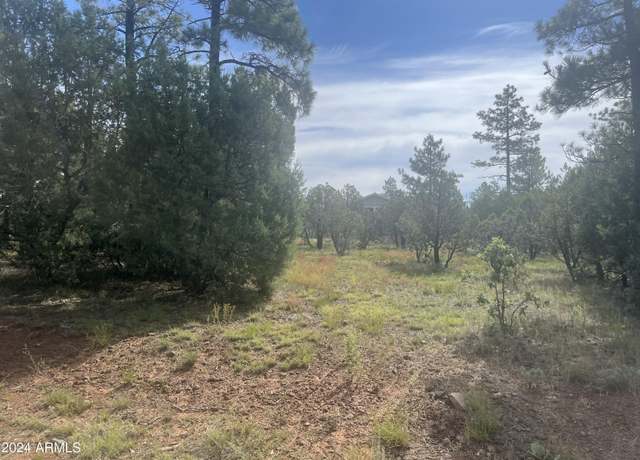 Property at 5481 Red Squirrel Ln #55, Lakeside, AZ 85929