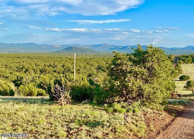 Property at TBD N3208 Lots C & D 19.62 Acres -- Unit -, Vernon, AZ 85940